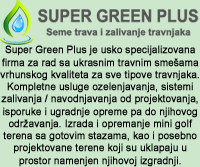 Super Green Plus